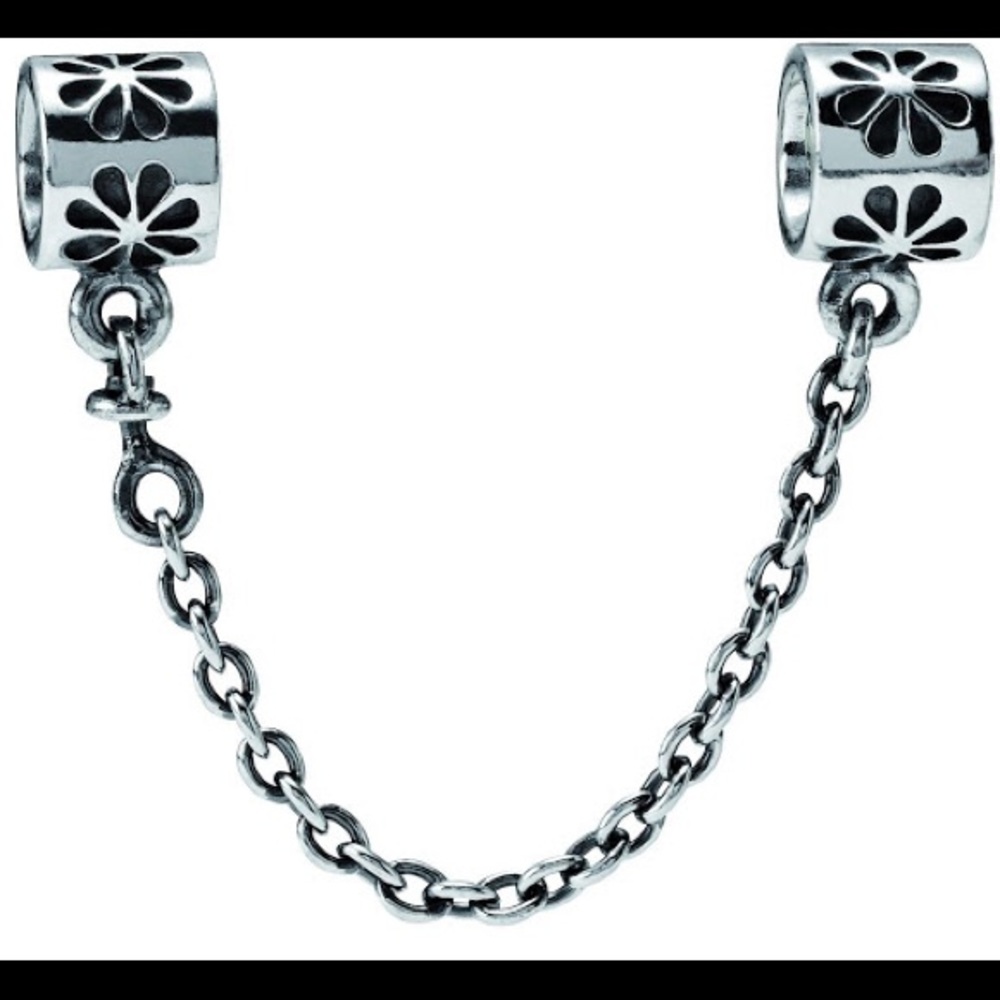 Pandora Charm ✨